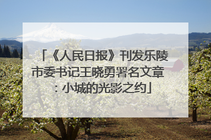 《人民日报》刊发乐陵市委书记王晓勇署名文章：小城的光影之约