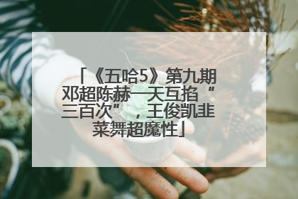 《五哈5》第九期邓超陈赫一天互掐“三百次”，王俊凯韭菜舞超魔性