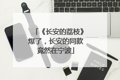《长安的荔枝》爆了，长安的同款竟然在宁波
