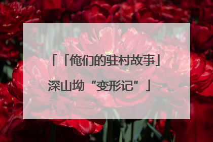 「俺们的驻村故事」深山坳“变形记”