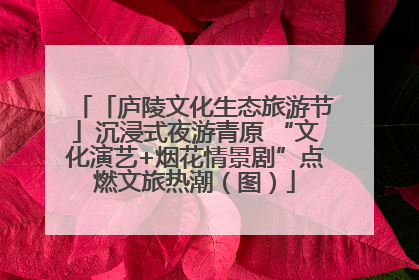 「庐陵文化生态旅游节」沉浸式夜游青原 “文化演艺+烟花情景剧”点燃文旅热潮（图）