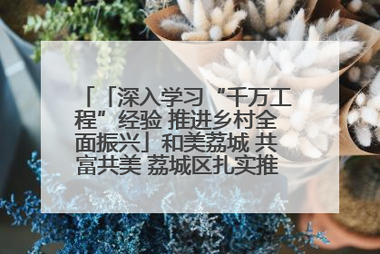 「深入学习“千万工程”经验 推进乡村全面振兴」和美荔城 共富共美 荔城区扎实推进乡村振兴工作