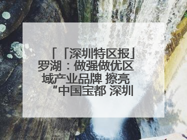 「深圳特区报」罗湖：做强做优区域产业品牌 擦亮“中国宝都 深圳水贝”金字招牌