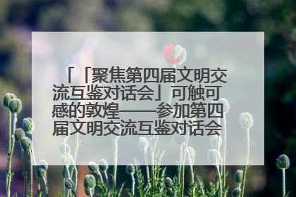「聚焦第四届文明交流互鉴对话会」可触可感的敦煌——参加第四届文明交流互鉴对话会的外宾参观上元市集