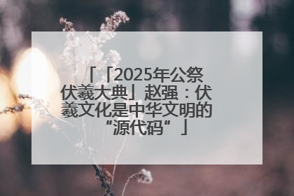 「2025年公祭伏羲大典」赵强：伏羲文化是中华文明的“源代码”