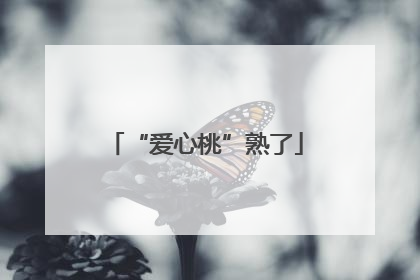 “爱心桃”熟了