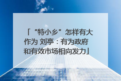 “特小乡”怎样有大作为 刘亭：有为政府和有效市场相向发力