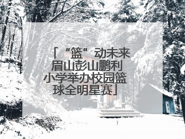 “篮”动未来 眉山彭山鹏利小学举办校园篮球全明星赛