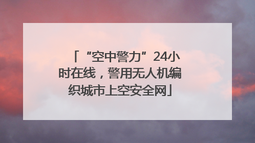 “空中警力”24小时在线，警用无人机编织城市上空安全网