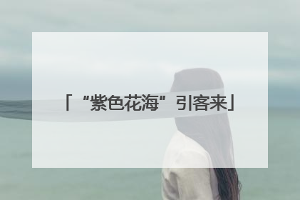 “紫色花海”引客来