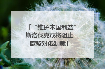 “维护本国利益” 斯洛伐克或将阻止欧盟对俄制裁