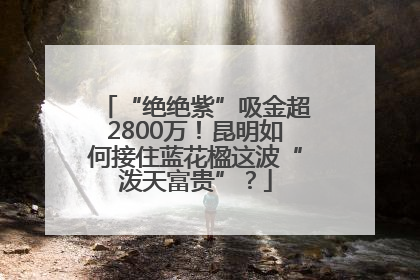 “绝绝紫”吸金超2800万！昆明如何接住蓝花楹这波“泼天富贵”？