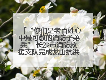 “你们是老百姓心中最可敬的消防子弟兵” 长沙市消防救援支队完成龙山抗洪使命归队