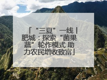 “三夏”一线丨肥城：探索“菌果蔬”轮作模式 助力农民增收致富