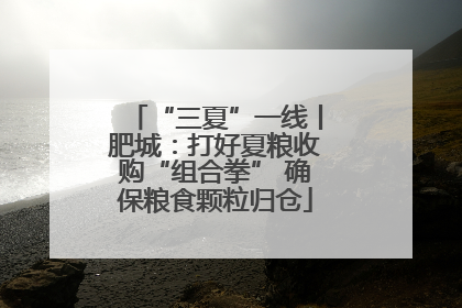 “三夏”一线丨肥城：打好夏粮收购“组合拳” 确保粮食颗粒归仓