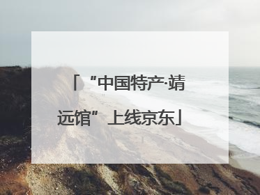 “中国特产·靖远馆”上线京东