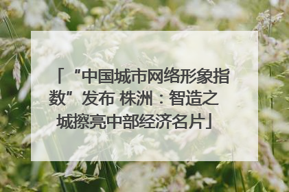 “中国城市网络形象指数”发布 株洲：智造之城擦亮中部经济名片