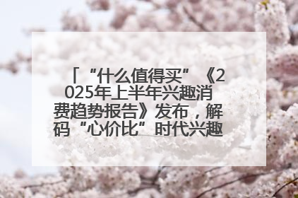 “什么值得买”《2025年上半年兴趣消费趋势报告》发布，解码“心价比”时代兴趣消费新范式