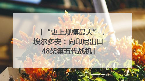 “史上规模最大”，埃尔多安：向印尼出口48架第五代战机