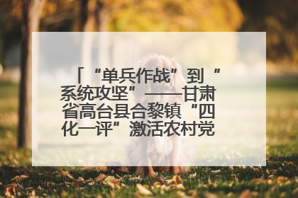 “单兵作战”到“系统攻坚”——甘肃省高台县合黎镇“四化一评”激活农村党员管理新引擎