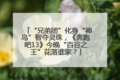 “兄弟团”化身“神鸟”智夺灵珠，《奔跑吧13》今晚“百谷之王”花落谁家？