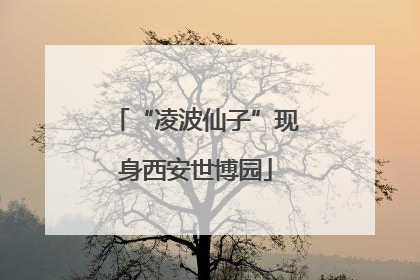 “凌波仙子”现身西安世博园
