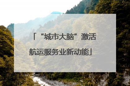 “城市大脑”激活航运服务业新动能