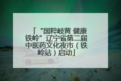 “国粹岐黄 健康铁岭”辽宁省第二届中医药文化夜市（铁岭站）启动