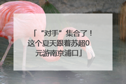“对手”集合了！这个夏天跟着苏超0元游南京浦口
