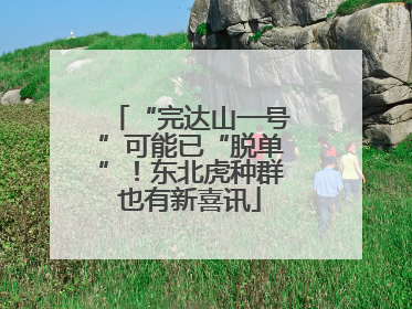 “完达山一号”可能已“脱单”！东北虎种群也有新喜讯