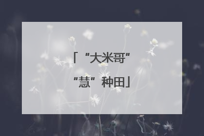 “大米哥”“慧”种田