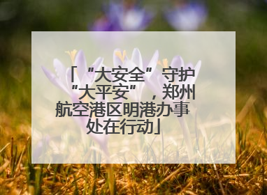 “大安全”守护“大平安”，郑州航空港区明港办事处在行动