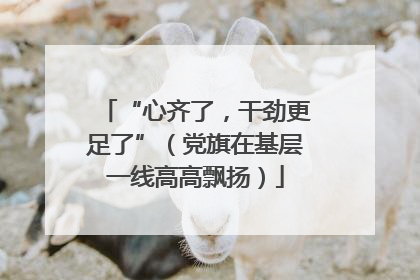 “心齐了，干劲更足了”（党旗在基层一线高高飘扬）