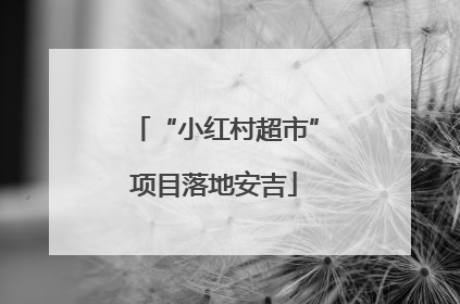 “小红村超市”项目落地安吉