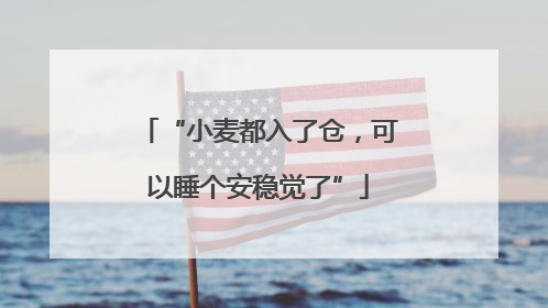 “小麦都入了仓，可以睡个安稳觉了”
