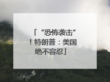 “恐怖袭击”！特朗普：美国绝不容忍