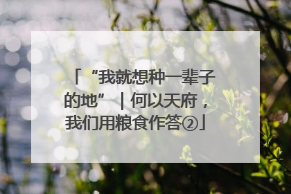 “我就想种一辈子的地”｜何以天府，我们用粮食作答②