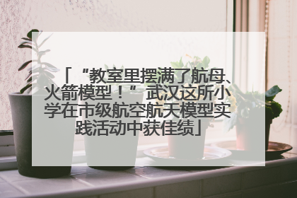“教室里摆满了航母、火箭模型！”武汉这所小学在市级航空航天模型实践活动中获佳绩