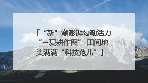 “新”潮澎湃勾勒活力“三夏耕作图” 田间地头满满“科技范儿”