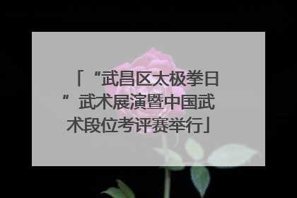 “武昌区太极拳日”武术展演暨中国武术段位考评赛举行