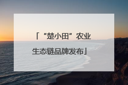 “楚小田”农业生态链品牌发布