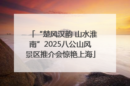 “楚风汉韵 山水淮南”2025八公山风景区推介会惊艳上海