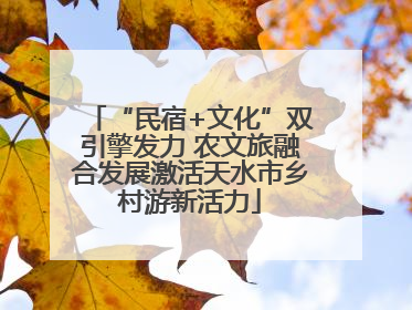 “民宿+文化”双引擎发力 农文旅融合发展激活天水市乡村游新活力