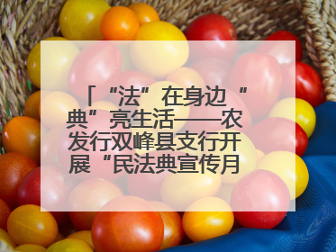 “法”在身边“典”亮生活——农发行双峰县支行开展“民法典宣传月”活动