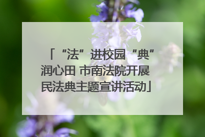 “法”进校园“典”润心田 市南法院开展民法典主题宣讲活动