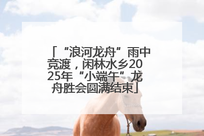 “浪河龙舟”雨中竞渡，闲林水乡2025年“小端午”龙舟胜会圆满结束