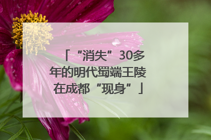“消失”30多年的明代蜀端王陵在成都“现身”