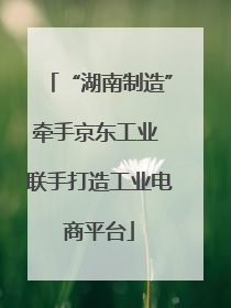 “湖南制造”牵手京东工业 联手打造工业电商平台