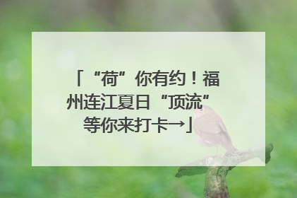 “荷”你有约！福州连江夏日“顶流”等你来打卡→