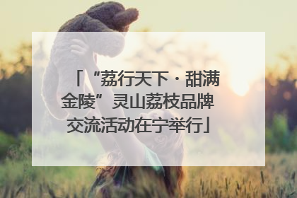 “荔行天下・甜满金陵”灵山荔枝品牌交流活动在宁举行